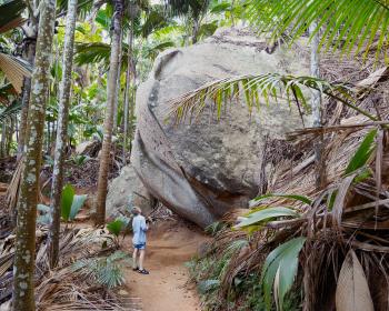 Vallée de Mai