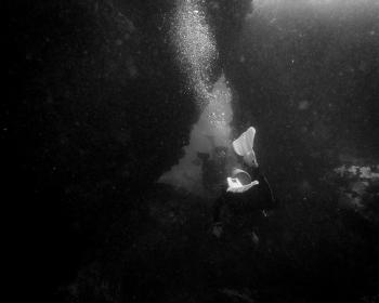 Diving