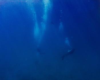 Diving