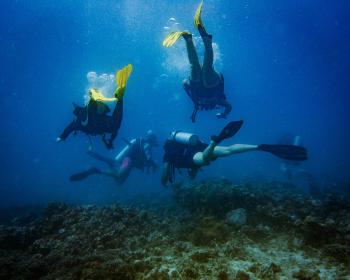 Diving