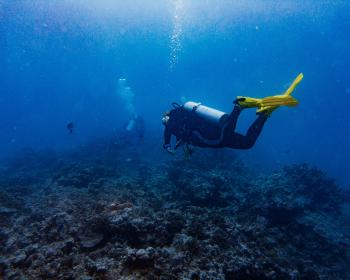Diving