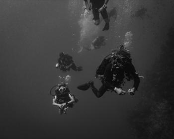 Jackson Reef