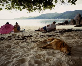 "Potato slash Buddy"