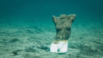 An underwater photo of a bust, possibly part of a clothing mannequin or a statue, partially covered in algae growth.