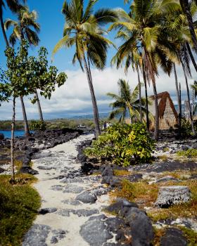 Path and palm trees at the Pu'uhonua O Honaunau historical park