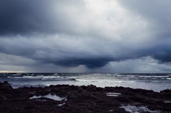 Dark clouds over a windy sea, rain in the distance, droves of seaweed in the foreground.