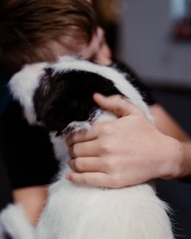Isak, human, hugging Kalle, terrier