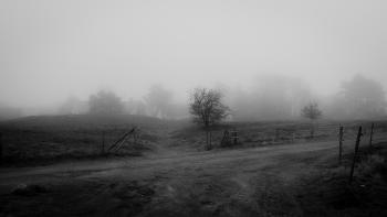 A foggy day, in black & white