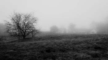 A foggy day, in black & white