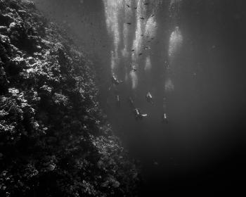 Wine Dark Sea