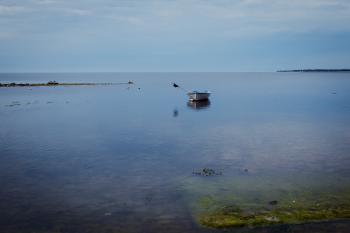 Calm day