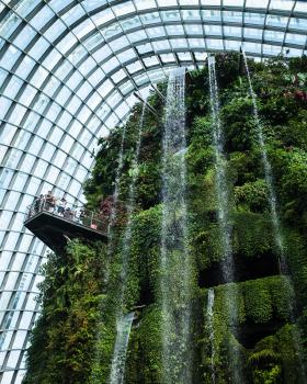 Cloud forest waterfall against the sky grid