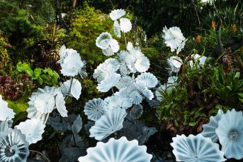 Glass flowers among the green