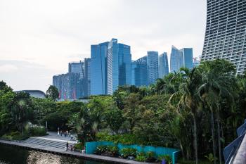 The city, with trees in the foreground