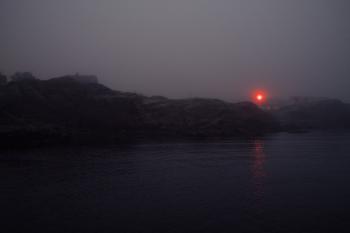 A foggy morning walk by the harbour