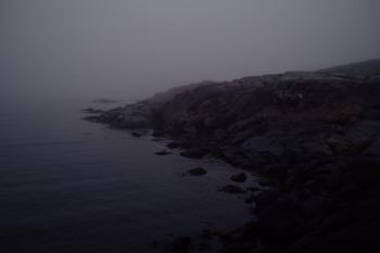 A foggy morning walk by the harbour