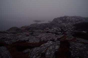 A foggy morning walk by the harbour