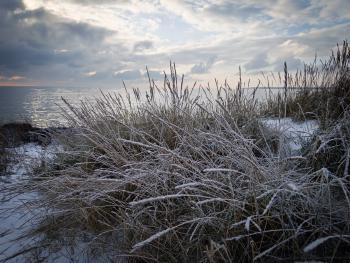 idg20260106_134907_451