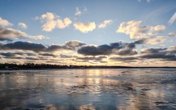 idg20260201_155539_945