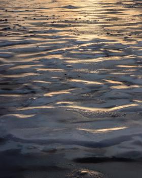 idg20260201_155820_524