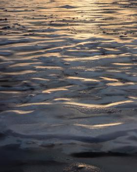 idg20260201_155820_524