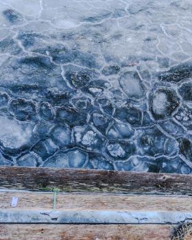 idg20260201_155904_699